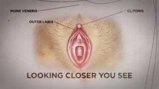 Can you see if a woman is a virgin? Here&#39;s the truth - Nyheterna (TV4)
