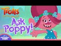 ASK POPPY All Episodes Compilation TROLLS