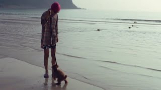 海にビビる愛犬が可愛すぎる‼︎初の飛行機旅行【長崎五島列島】