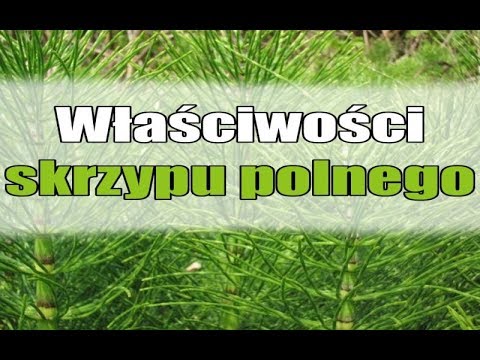 Gliceryna olej włosy Aby zrobić maskę na włosy na Księżycu