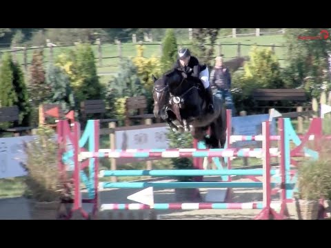 Chezarro v. Casall - Rang fünf im M*-Springen