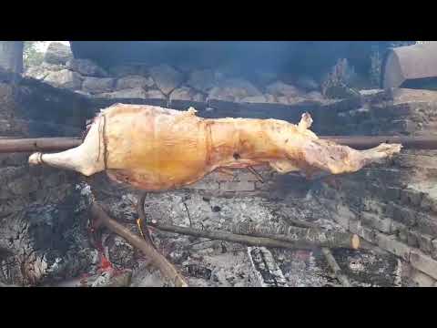 YUNUSBABA'nın ÇİFTLİĞİ