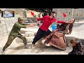 Ramin S Betrayal Of Zolfa Can Ramin Evade The Law And The Courts