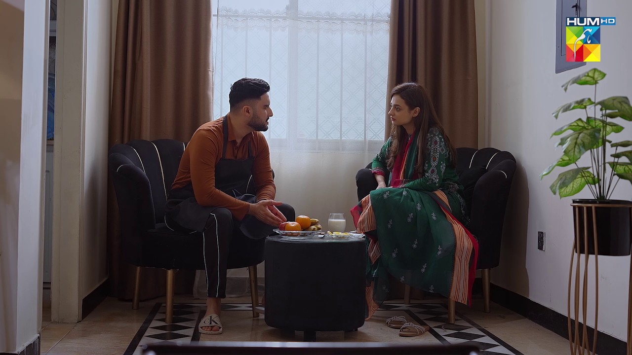 Hum Apni Khushi Kisi Se Share Nahi Karay Ge..! - Nabeel Zuberi & Minsa Malik | Hadd - HUM TV