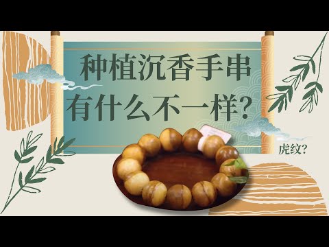 Our agarwood bracelets, crafted from 30 years of meticulously cultivated agarwood, offer top-notch quality and an enchanting fragrance that will captivate you!