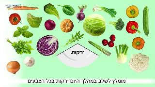 הצלחת המנצחת
