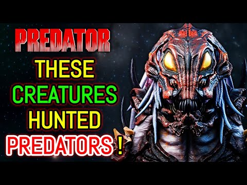 These Creatures Hunted Predators And Every Yautja Fears Them - Drukathi Explained!