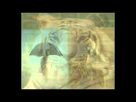 Bani Gheata - Suflet la indigo (Banii Nu Sunt Reali 2011)