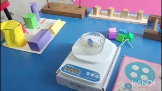 S V International School Video