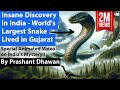 Insane Discovery in India | World's Largest Snake Lived in Gujarat | Vasuki Indicus