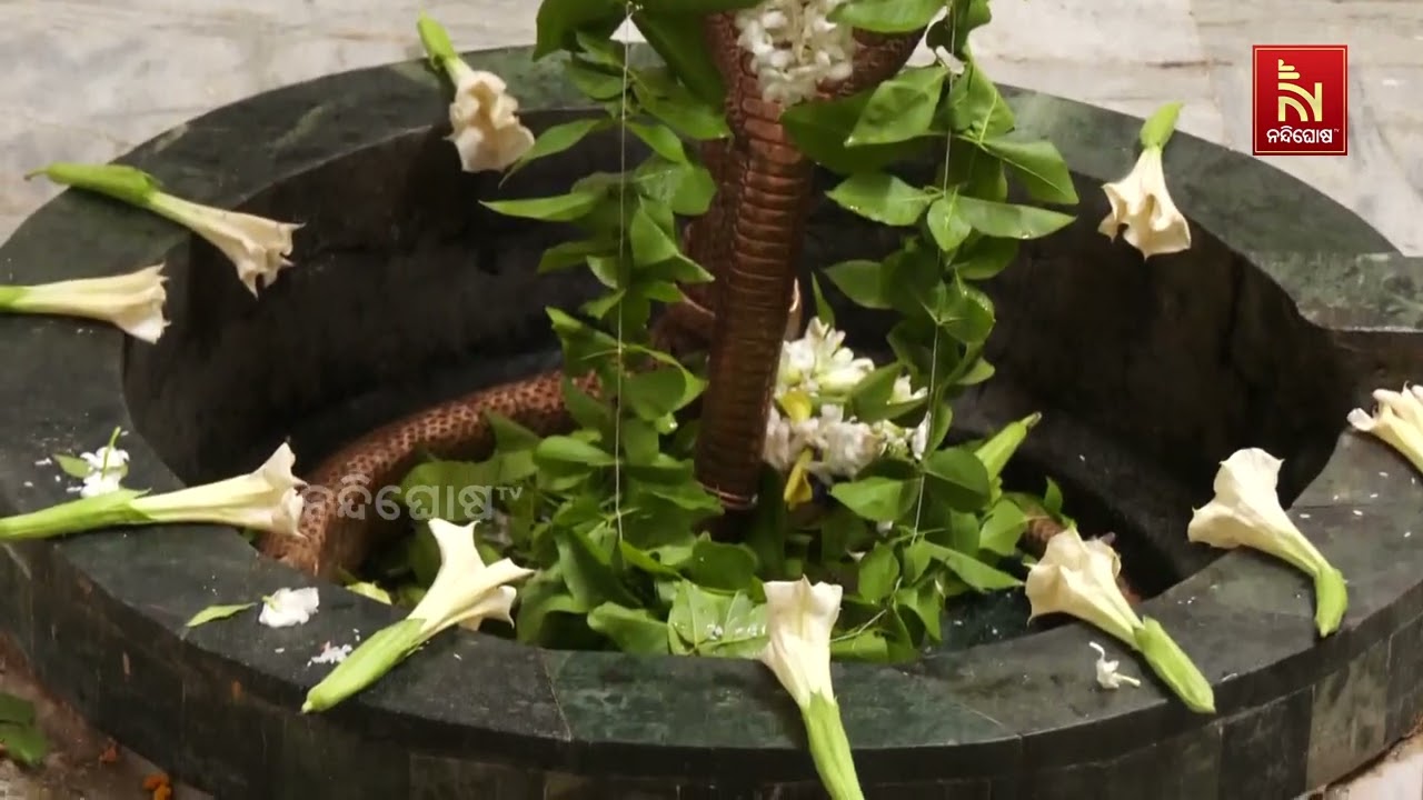 ଆରମ୍ଭ ହେଲା କନିଆଁ ଖୋଜା । ଦେବଦେବ ମହାଦେବଙ୍କ ପାଇଁ କନ୍ୟା ?