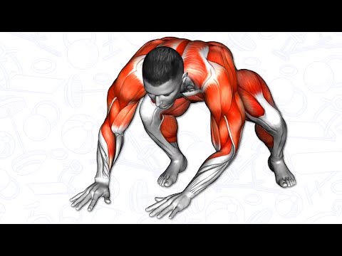 5 tehokkainta painonpudotusharjoitusta