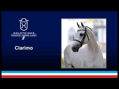 Holsteiner Verbandshengste 2019 - Clarimo