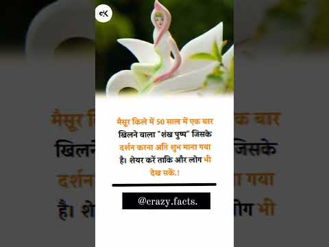 maisur kile me 50 saal me ek baar khilne wala flower 🌺#shortsyoutube #viral #facts #ytshort
