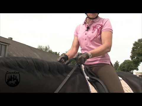 Loesdau Lessons: Basics mit Kati: Zügelhilfen zur Verständigung mit dem Pferd