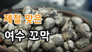 제철 맞은 여수  꼬막 해감 삶는법 꿀팁?