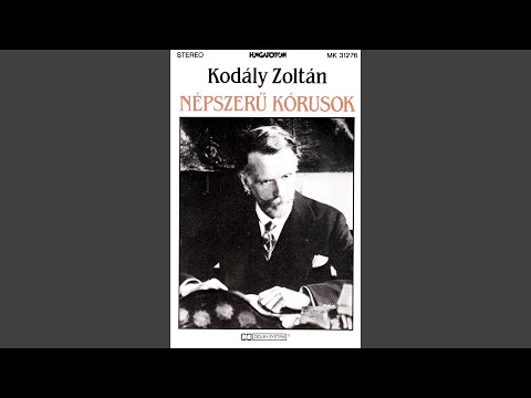 Túrót eszik a cigány - Csipkefa bibmbója