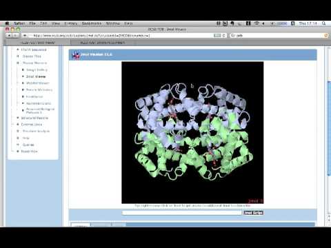 鎌状赤血球貧血