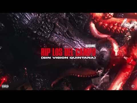 SIN VISIÓN QUINTANA (RIP LOS DEL CAMPO) 