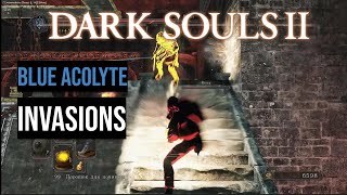 Blue Acolyte Invasions PvP 150 lvl