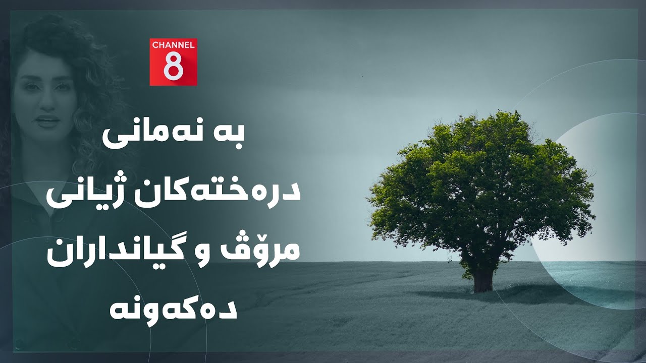 ڤیدیۆ | دەنگی زەوی - بە نەمانی درەختەکان ژیانی مرۆڤ و گیانداران دەکەونە مەترسییەوە