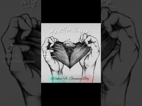 Wakez Ft. GaansieBoy - My Alles Gegee (Official Audio.mp3)