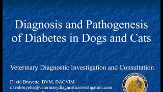 Diagnosis and Pathogenesis of Diabetes in Dogs and Cats