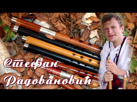 Vlaška zavrzlama - Stefan Radovanović