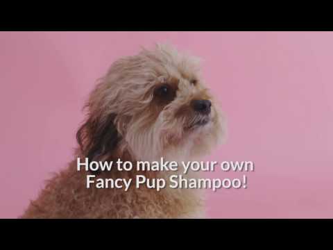 Fancypup