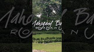 CARNIVAL CELEBRATION - Day 5 - MAHOGANY BAY, HONDURAS PORT - 2023 #jbcruisin #carnival #cruise