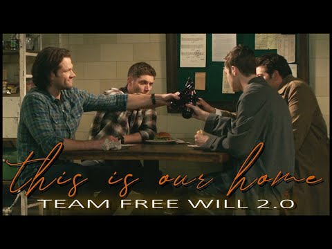 team free will 2.0 || broken