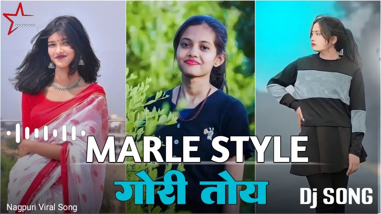 Marle Style Gori Toy | New Nagpuri Dj Song 2024 || New Nagpuri Dj Remix Song 2024 Dj Ashray Poksari