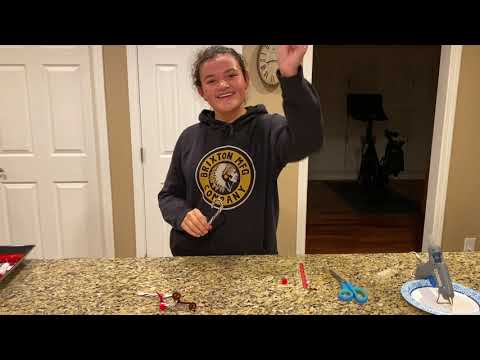 Abigail Z 4H Craft Video