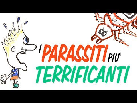 Medicina per vermi per le madri nutrenti A un gatto striscia linfezione della persona