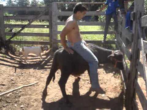 Montariaaa em Bufooooo dos Pingaaaa...Uxaaaaaaa