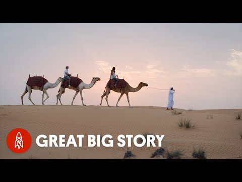 迪拜的五個意想不到的景點 (Five Unexpected Places to Visit in Dubai)