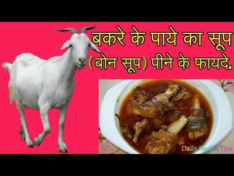 download lagu mp3 mp4 Bakre Ke Paye Ka Soup Ke Fayde, download lagu Bakre Ke Paye Ka Soup Ke Fayde gratis, unduh video klip Bakre Ke Paye Ka Soup Ke Fayde
