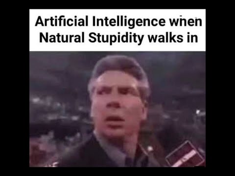 Artficial intelligence VS Natural Stupidity
