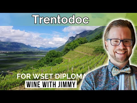 Grape Growing in Trentodoc for WSET Level 4 (Diploma)