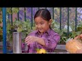 SESAME STREET Season 54 Episode 34 George Napoleon Thomas Martin Jr Season 55 Sesame Street