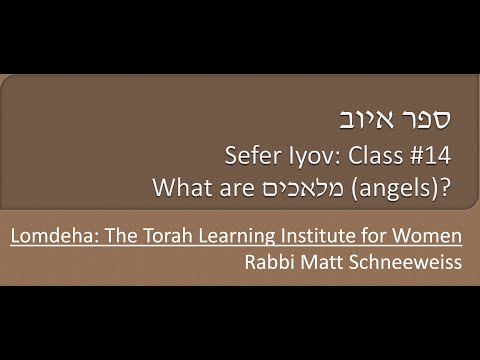 Iyov Class #14: What are Malachim (angels)? Part 2 (Lomdeha)