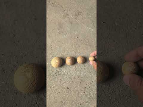 How many types of betel nut are there #betelnut #arecanut #supari