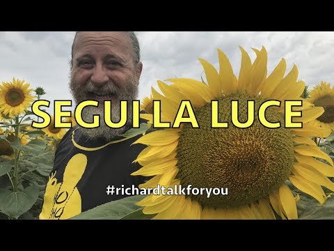 Che trattare un uccello vermi Targhe biltritsid da vermi per la persona