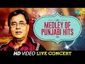 Medley of Punjabi Hits | Jagjit Singh | Live Concert Video