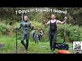 Hunting Fishing Spearfishing For A Week In Stewart Island New Zealand