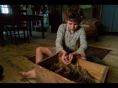 STORM BOY - EXTRAIT : "Prendre des forces" VF