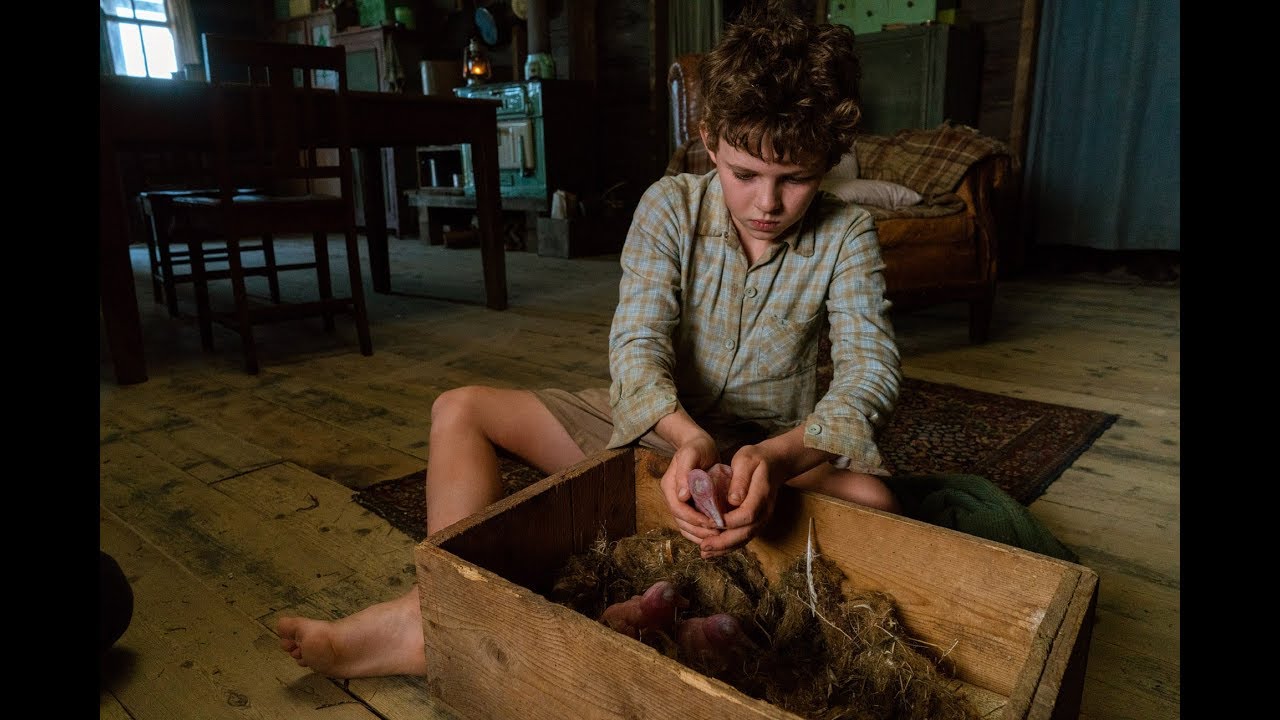 Miniature de la vidéo STORM BOY - EXTRAIT : "Prendre des forces" VF du film Storm Boy