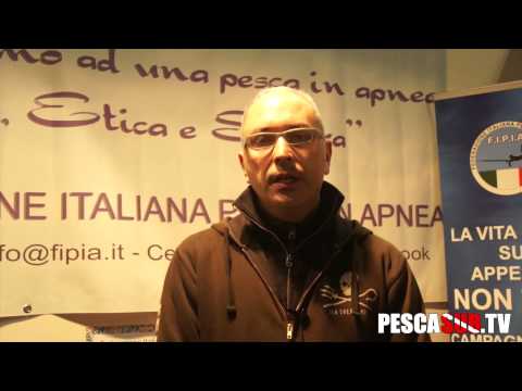 SEA SHEPHERD: CHI SONO? COSA FANNO PER IL MARE? COSA FARANNO IN FUTURO?