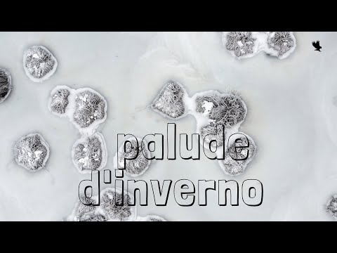 Palude #djimavic2pro #stefanomorandini #carnia #4K