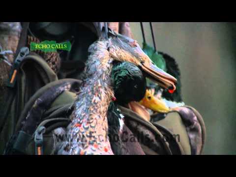 Total Mallard Crushin -' Echo Style